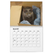 Chartreux-Kalender Kalender (Mär 2027)