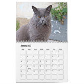 Chartreux-Kalender Kalender (Jan 2027)