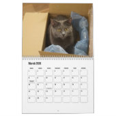 Chartreux-Kalender Kalender (Mär 2026)