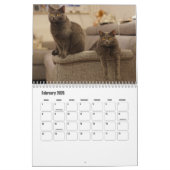 Chartreux-Kalender Kalender (Feb 2026)