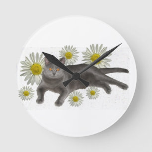 Chartreux Katze mit Gänseblümchen Runde Wanduhr