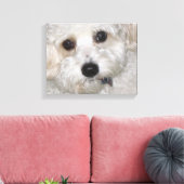 Chase Cavachon Leinwand Wrapped Print (Insitu (Wohnzimmer))