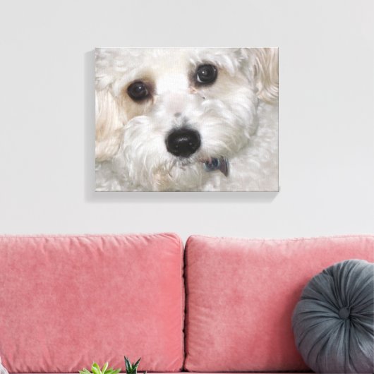 Chase Cavachon Leinwand Wrapped Print (Insitu (Wohnzimmer))