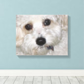 Chase Cavachon Leinwand Wrapped Print (Insitu (Holzboden))