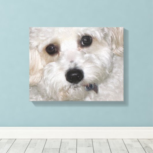 Chase Cavachon Leinwand Wrapped Print (Insitu (Holzboden))