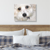 Chase Cavachon Leinwand Wrapped Print (Insitu (Schlafzimmer))