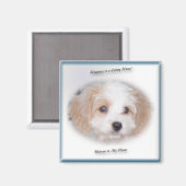 Chase Cavachon Magnet (Vorderseite/Rückseite)