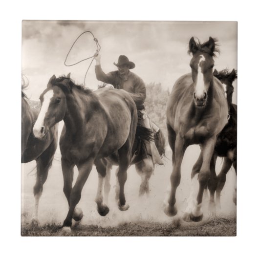 Chase I Fliese (Vorderseite)