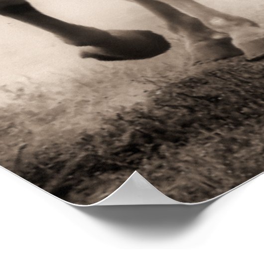 Chase I Poster (Ecke)