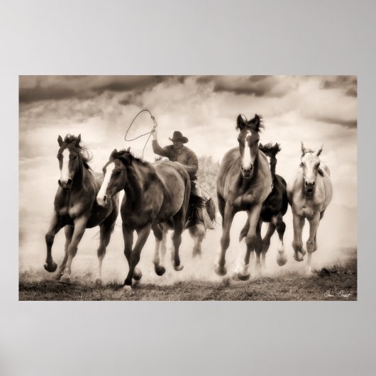 Chase I Poster (Vorne)