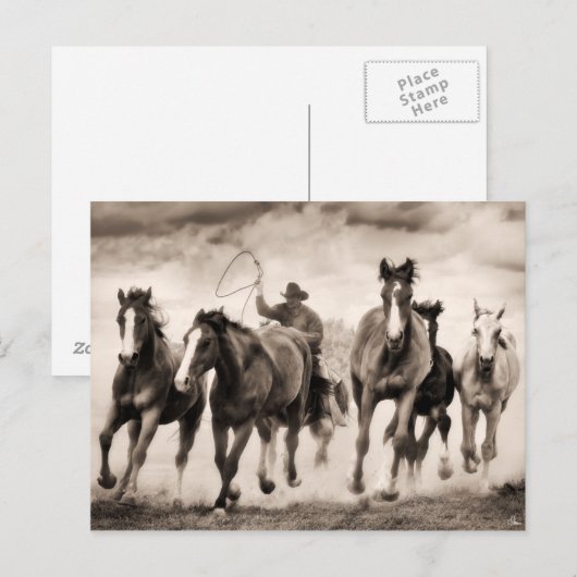 Chase I Postkarte (Vorne/Hinten)