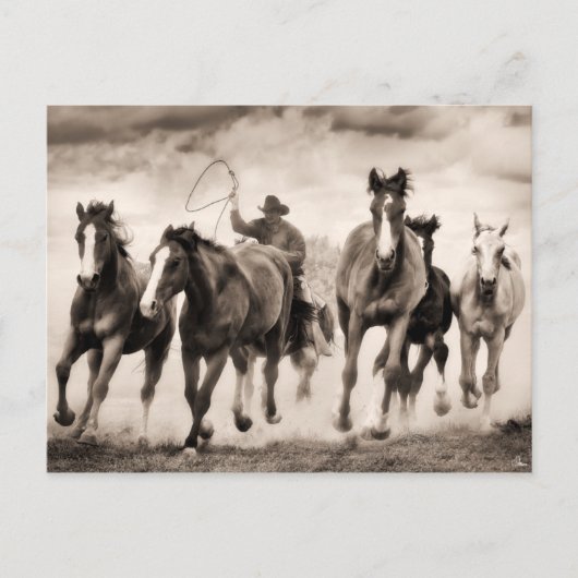 Chase I Postkarte (Vorderseite)