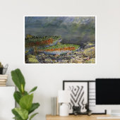 Chasing Rainbows Poster (Heimbüro)