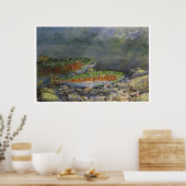 Chasing Rainbows Poster (Küche)