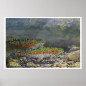 Chasing Rainbows Poster (Vorne)