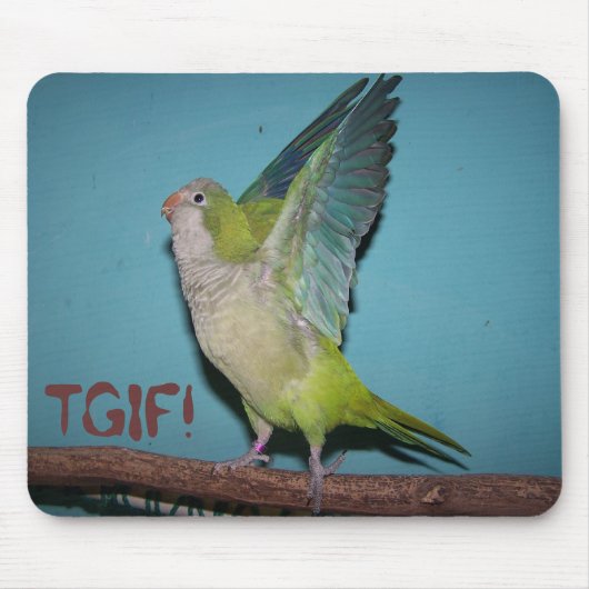 Chaska TGIF! Mousepad (Vorne)