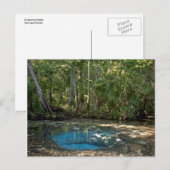Chassahowitzka Springs, Florida. Postkarte (Vorne/Hinten)