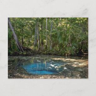 Chassahowitzka Springs, Florida. Postkarte