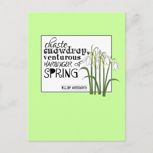 Chaste Snowdrop Postkarte (Vorderseite)