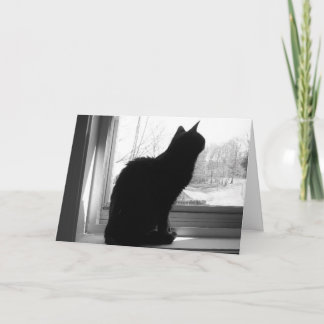 Chat-Blick Karte
