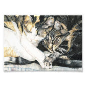 Chat Cuddle Art Print Fotodruck (Vorne)