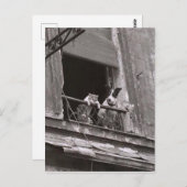 Chat et chien - Robert Doisneau Postkarte (Vorne/Hinten)