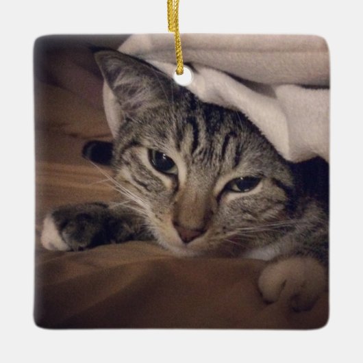 Chat Foto Square - Weihnachten Keramikornament (Vorderseite)