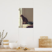 Chat im Fenster Poster (Küche)