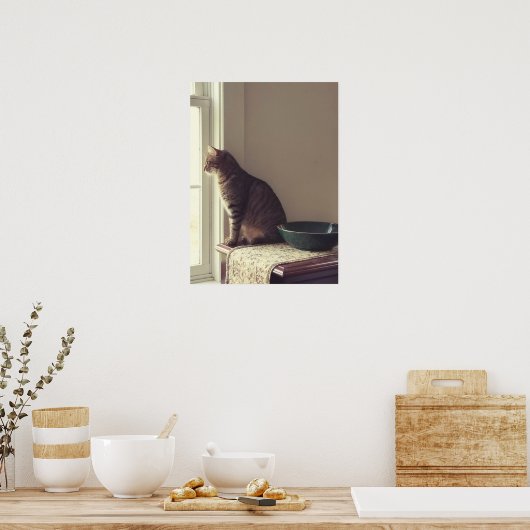 Chat im Fenster Poster (Küche)