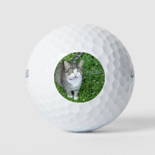 Chat in Clover Sprichwort Hallo Golfball