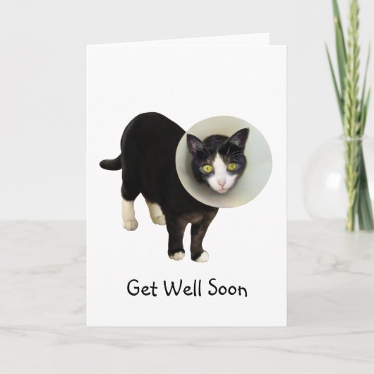 Chat in Cone Get Well Card Karte (Vorderseite)
