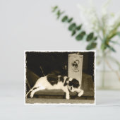 Chat in einem Restaurant in der Nähe von Speisekar Postkarte (Stehend Vorderseite)