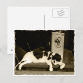 Chat in einem Restaurant in der Nähe von Speisekar Postkarte (Vorne/Hinten)