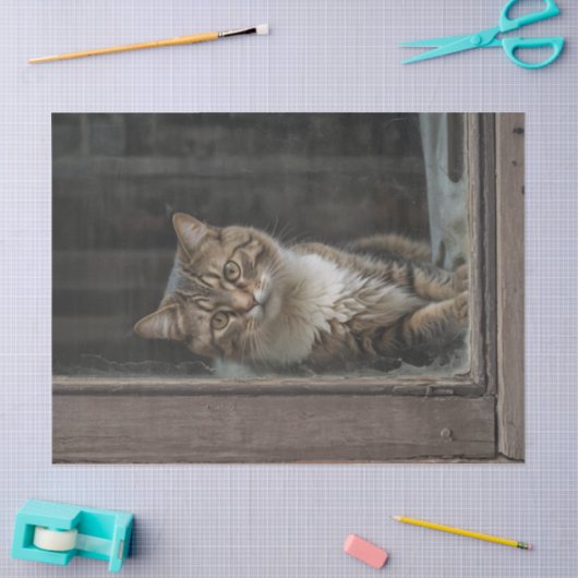 Chat in Window Decoupage Seidenpapier (Basteln)