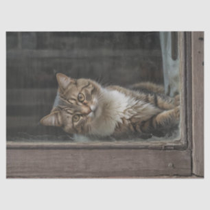 Chat in Window Decoupage Seidenpapier