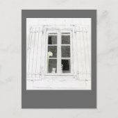 Chat in Window Postcard Postkarte (Vorderseite)