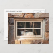 Chat in Window Postcard Postkarte (Vorne/Hinten)