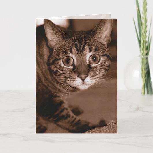 Chat Karte (Vorderseite)