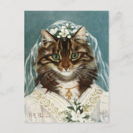 Chat La mariée Postkarte