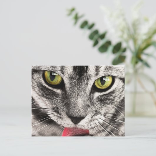 Chat Look Postkarte (Stehend Vorderseite)
