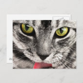 Chat Look Postkarte (Vorne/Hinten)