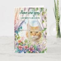 Chat Lover Garden Window wird gut