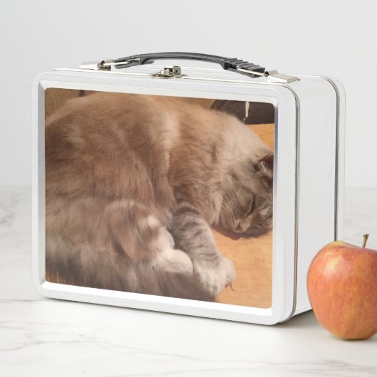 Chat-Lunch Box Metall Brotdose (Beispiel)