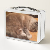 Chat-Lunch Box Metall Brotdose (Vorderseite)