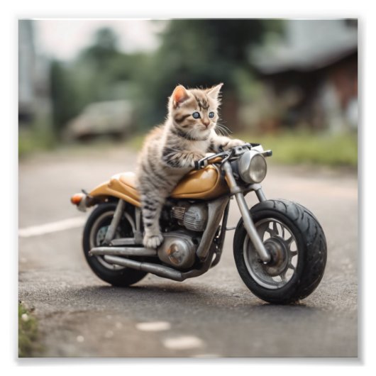 Chat lustig fotodruck (Vorne)