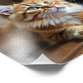 Chat lustig fotodruck (Ecke)