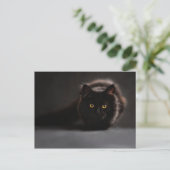 Chat noir postkarte (Stehend Vorderseite)