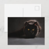 Chat noir postkarte (Vorne/Hinten)