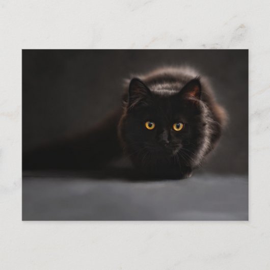Chat noir postkarte (Vorderseite)