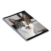 Chat-Notebook Notizblock (Rechte Seite)